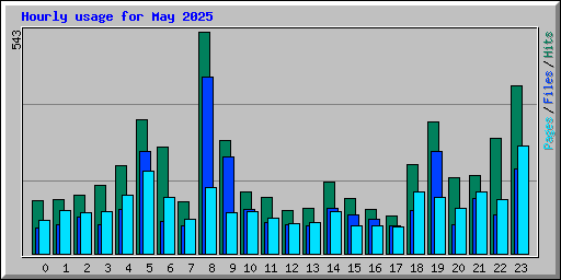 Hourly usage for May 2025