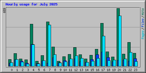 Hourly usage for July 2025