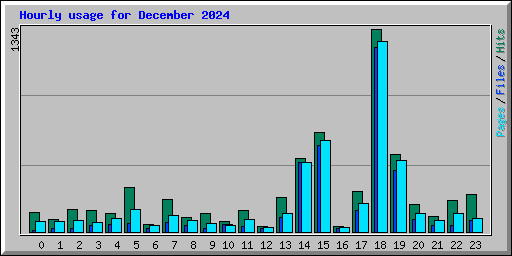 Hourly usage for December 2024