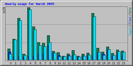 Hourly usage for March 2025