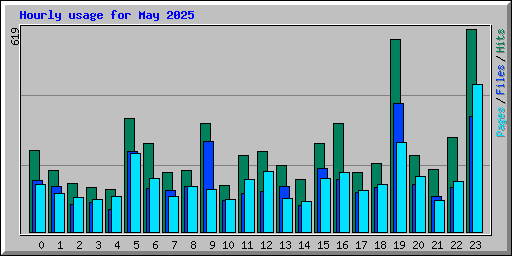 Hourly usage for May 2025