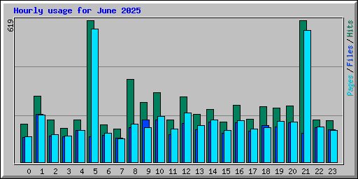 Hourly usage for June 2025