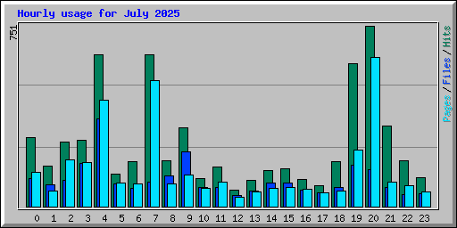 Hourly usage for July 2025