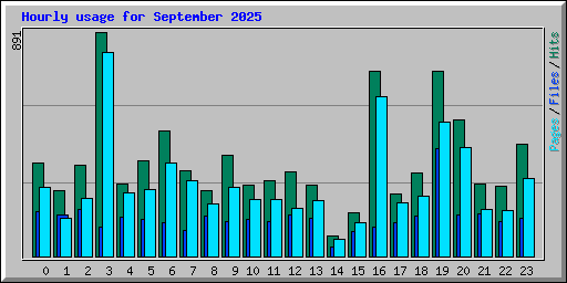 Hourly usage for September 2025