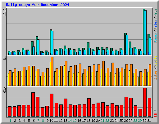 Daily usage for December 2024