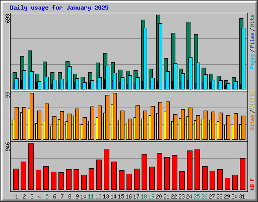 Daily usage for January 2025
