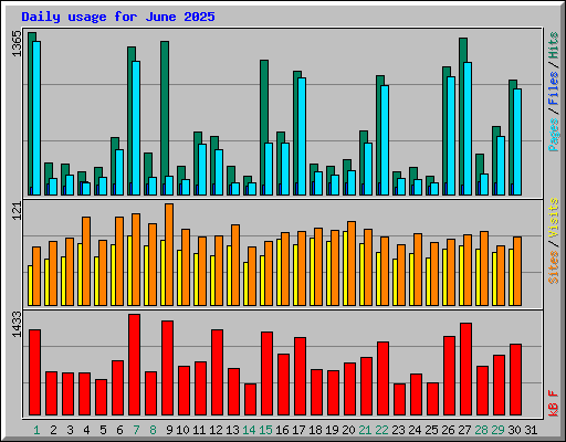 Daily usage for June 2025