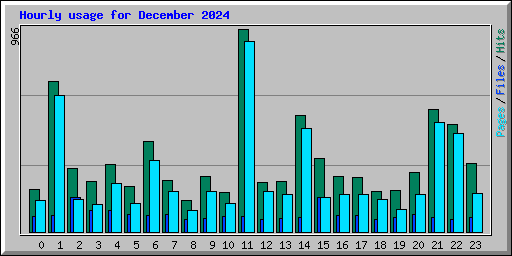 Hourly usage for December 2024