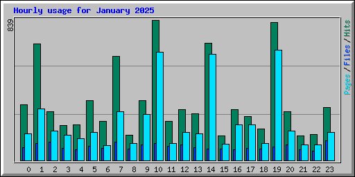 Hourly usage for January 2025