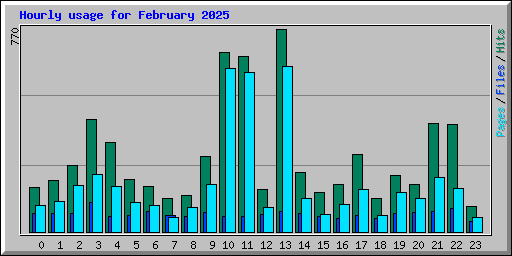 Hourly usage for February 2025