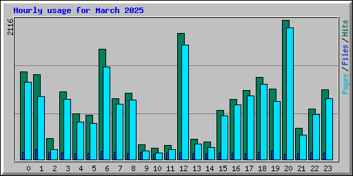 Hourly usage for March 2025