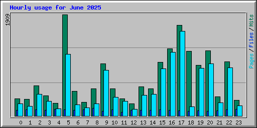 Hourly usage for June 2025