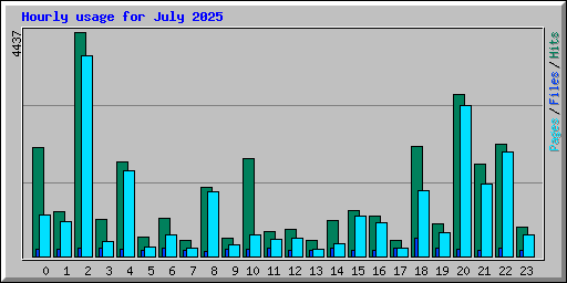 Hourly usage for July 2025
