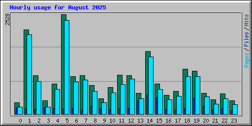Hourly usage for August 2025
