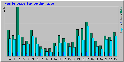 Hourly usage for October 2025