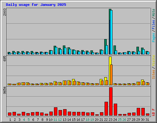 Daily usage for January 2025