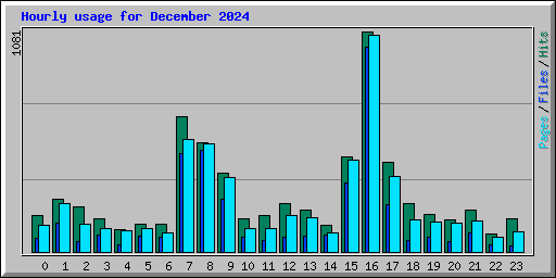 Hourly usage for December 2024