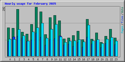 Hourly usage for February 2025