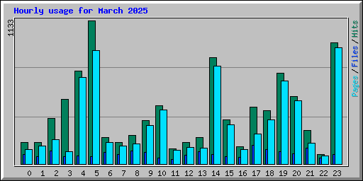 Hourly usage for March 2025