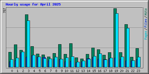 Hourly usage for April 2025
