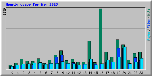 Hourly usage for May 2025