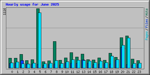 Hourly usage for June 2025
