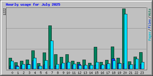 Hourly usage for July 2025
