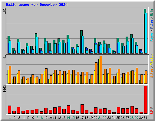 Daily usage for December 2024