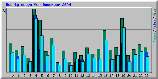 Hourly usage for December 2024