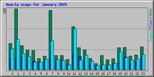 Hourly usage for January 2025