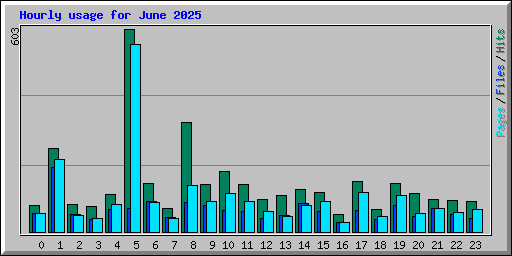 Hourly usage for June 2025