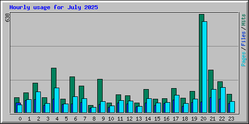 Hourly usage for July 2025