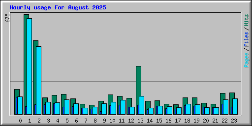 Hourly usage for August 2025